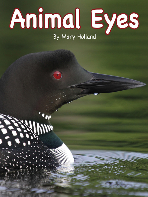 Title details for Animal Eyes by Mary Holland - Available